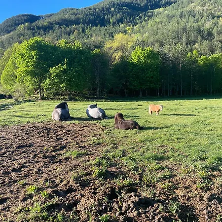 D'etape Bastide Petra Castellana Verdon * Castellane