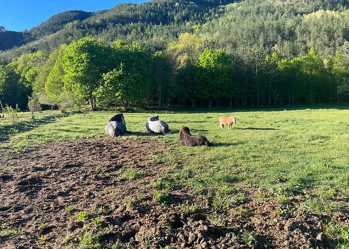 D'étape Bastide Petra Castellana Verdon * Castellane